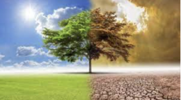 Cambiamenti climatici, ambiente e agricoltura