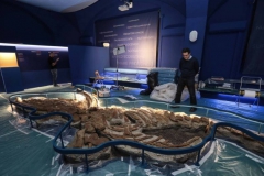 Visita ai musei di storia naturale di Firenze e di scienze planetarie di Prato